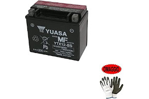 Bateria Daelim Daystar 125