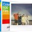Polaroid 600 Pilas